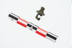 Foto von Bronzeknopf (NHMW-PRAE-026687)